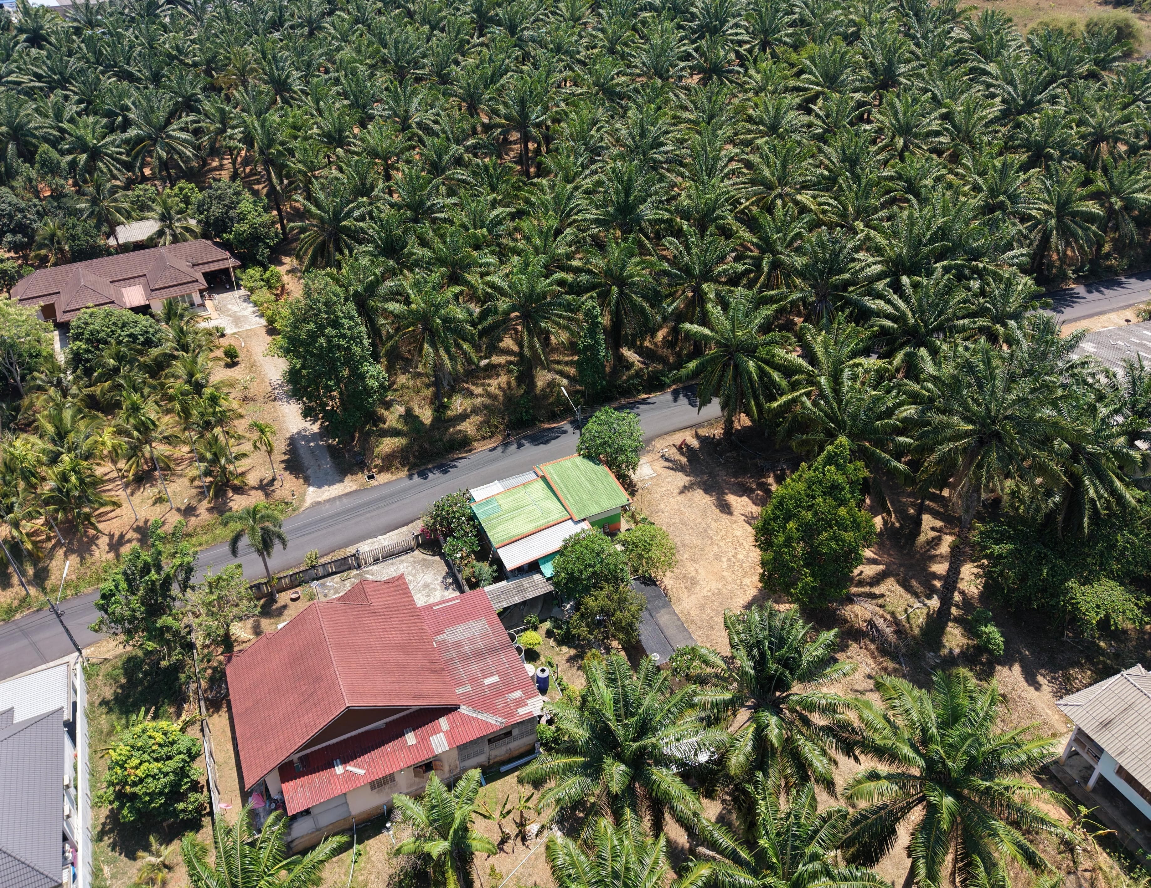 Aerial view of MaeKung Cafe Krabi 3
